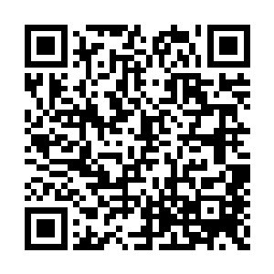 让我在故宫之中无意的捡到了生死草所在的地图二维码生成