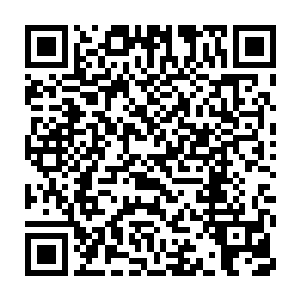 让我把那些我不需要的洋娃娃一个个亲手送给了很多我不认识小姑娘二维码生成