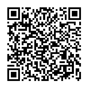 让我猜测到这个成了精的中国传统僵尸一定和这个来历不明的男子交过手二维码生成