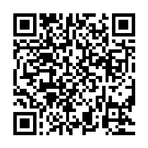 让星皇神殿在龙皇域的17个神将和3000多的神兵执事贞女杂役等二维码生成