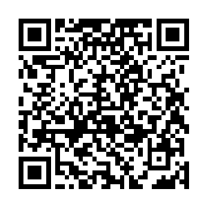 让柳肇阳在以后跟柳涵欣的相处中慢慢的表现出一股父爱二维码生成