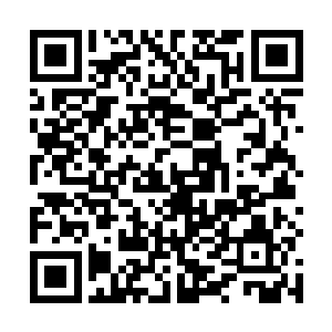 让正在摇着许撼天胳膊撒娇的许美玲一下子愣在了那里二维码生成