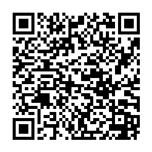 让毒龙会取代三才帮一统夹河市地下势力未必不是以黑治黑的好手段二维码生成