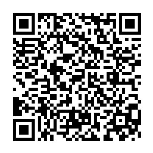 让系统将海角城中所有关于海族和海鸟方面的资料进行了扫描和复制二维码生成