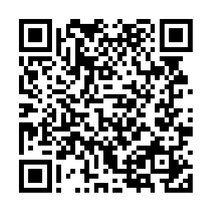 让缭绕着血黄雾气的宗师都感觉到发自脚底的寒冷二维码生成