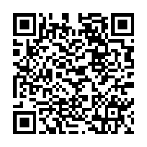 让这片残缺的世界瞬间成为天地间灵气最为充裕的福地之一二维码生成