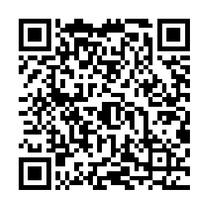 让远处原本还惊异流墨墨突然不动了的怎么回事的血妖姬们二维码生成