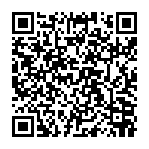 让镇守据点的修炼者们脱离防护罩到外面去迎战猎杀星辰兽是必须的二维码生成