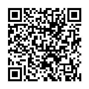 议会中的其他几个不朽强者脸上顿时浮现出了讥讽之色二维码生成