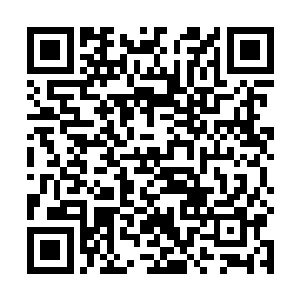 议长那如同干尸一般的脸上顿时浮现出了极度愤怒之色二维码生成