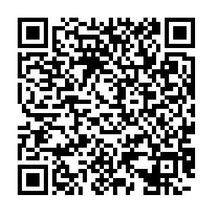 记忆中除了当初高中时期会抱着一本厚厚的小说在寝室里挑灯夜读之外二维码生成