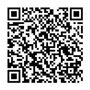 记忆力貌似还真的是第一次看到平时妖孽又精明的清越南如此一面二维码生成