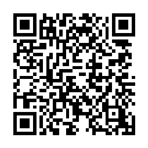 记者们纷纷捕捉下周嫫手里拿着相机开心地笑着的画面二维码生成