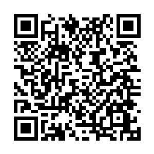 记者居然开始捏造雨果和汤姆之间互相攻击的新闻二维码生成