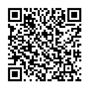 许仲康今日我定要为那些惨死在你手上的弟兄报仇雪恨~二维码生成