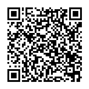 许多大势力的长老都出现在了秦宇的身边纷纷朝着秦宇抛出了橄榄枝二维码生成