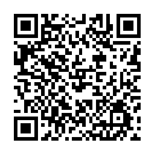 许多老人和一些忠心耿耿的护卫已经留下了一行痛苦的泪水二维码生成