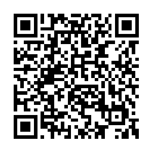 许家大罗金仙以上的修士专门追杀着空中的修士二维码生成