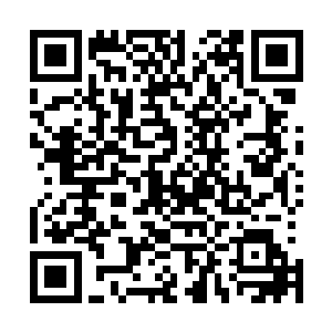 许紫烟也不会相信自己家族中的老祖会有华阳宗的弟子厉害二维码生成