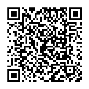 许紫烟伸出手指向着此时已经从地上爬了起来的三十几个弟子一划拉二维码生成