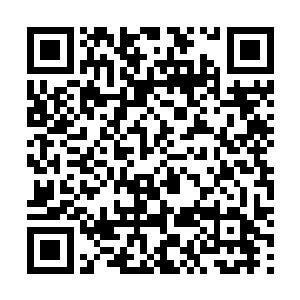 许紫烟便从那天起便消失在了林绯虞和尤月等人的视野中二维码生成