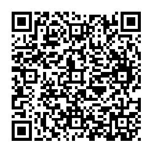 许紫烟和燕山魂联手杀死一个圣级大圆满混沌兽让他们心中忌惮的同时也非常敬佩二维码生成