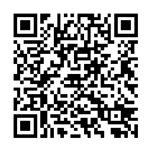 许紫烟将修为彻底地稳定在结丹期大圆满的修为上二维码生成