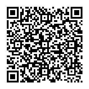 许紫烟就从一个炼气期第六层的低等弟子成为如今筑基期第十二层后期巅峰的修为二维码生成