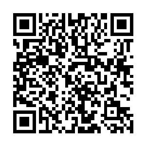 许紫烟感觉到自己收集的混沌兽和域外天魔的数量差不多了二维码生成