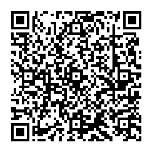 许紫烟抱着一丝希望问尹思儿在天昊城内是否还有其它的地方有可能购买到其它两种属性的兽皮和血液二维码生成