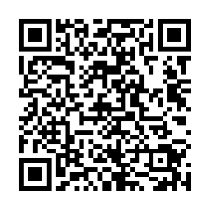 许紫烟是运用符箓幻化出一张巨网将凌霄给笼罩在里面二维码生成