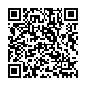 许紫烟觉得自己为林绯虞和林飞夜做的已经够多了二维码生成