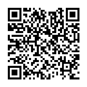 许紫烟跟随着林绯虞回到了张杰为大家准备的院落二维码生成