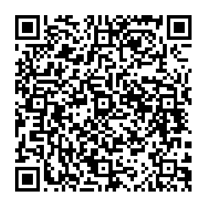 许紫烟这边正边吃边聊得痛快・却猛然听到不远处和自己一起乘坐仙舟来到毕月城的一桌响起了一个愤怒的声音二维码生成