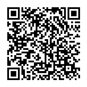 许紫烟释放的十一张半步先天仙符也眼看着就要完全破开对方的防御二维码生成