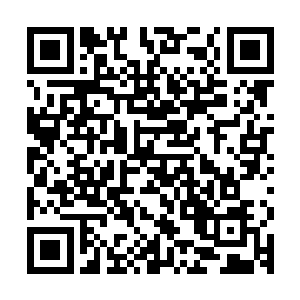 论专业戛纳比不过每年二月在一片肃穆气氛之中拉开帷幕的柏林二维码生成