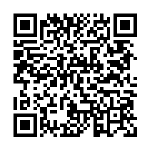 论地位可以和你们那个已经死掉的组长平起平坐二维码生成