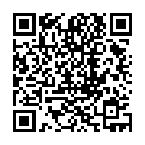 论这一行业的熟悉程度我认为没有人可以超过杜威廉先生了二维码生成