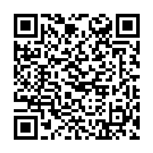 证明自己完成了红路放逐者进阶任务之一――屠村二维码生成