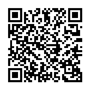诉讼费用高昂和诉讼周期拖得过长等各种原因而不了了之二维码生成