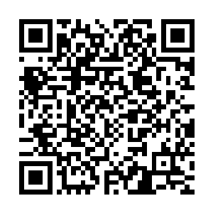 试图在这个残忍血腥的世界里寻找到一个真正陪伴在她身边的人二维码生成