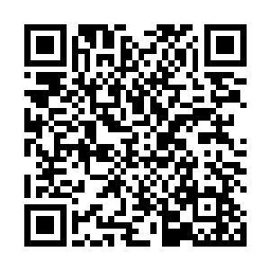 试图找到南方巫族遗落在周园里的一件威力极强的法器二维码生成