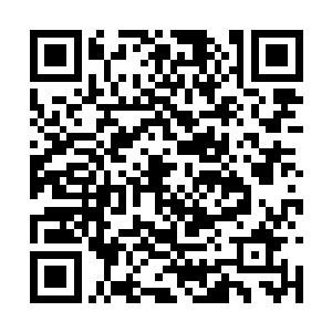 试问一个不自量力的人怎么会赢得圣地修士的信任二维码生成