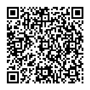 诚实的孩子也不会撒谎其中一个顿时就冲着自己的老师回了一句干净利落的我们忘了二维码生成