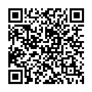 该不会是因为早上不小心被林烽撞见我在换丝袜的场面二维码生成