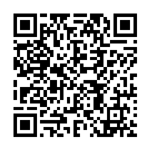 详细了解了从成家药材开始种植一直到进入药房的每一个环节二维码生成