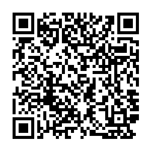 说不定未来的神州大陆同样会诞生一批如他们这般妖孽的天才出来二维码生成