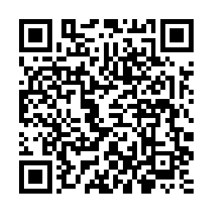说不定灭离大帝处置他们的时候他们也会把这些事都怪到她头上二维码生成