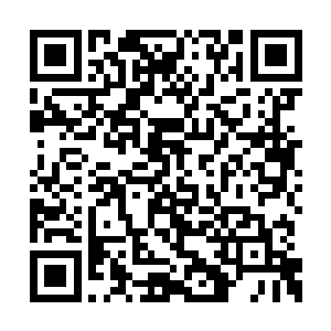 说不定现在已经有其他的参与者找到了保护目标二维码生成