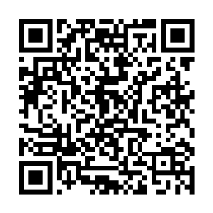 说不定第一轮里遇上秩序一队的就是咱们地狱前线了二维码生成